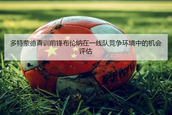 多特蒙德青训前锋布伦纳在一线队竞争环境中的机会评估 | kaiyun
