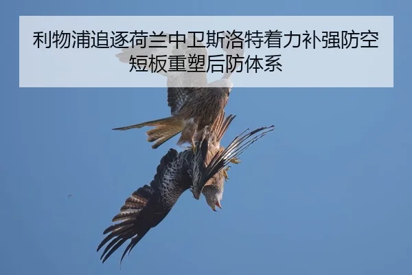 利物浦追逐荷兰中卫斯洛特着力补强防空短板重塑后防体系 | kaiyun